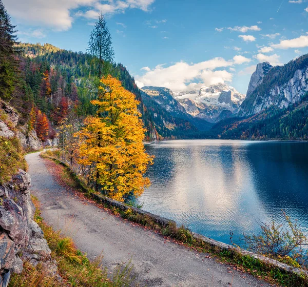 Vorderer (Gosausee) gölünün ihtişamlı sonbahar sahnesinde Dachstein buzulu arka planda. Avusturya Alpleri, Yukarı Avusturya, Avrupa 'nın muhteşem sabah manzarası. Seyahat konsepti arka planı.