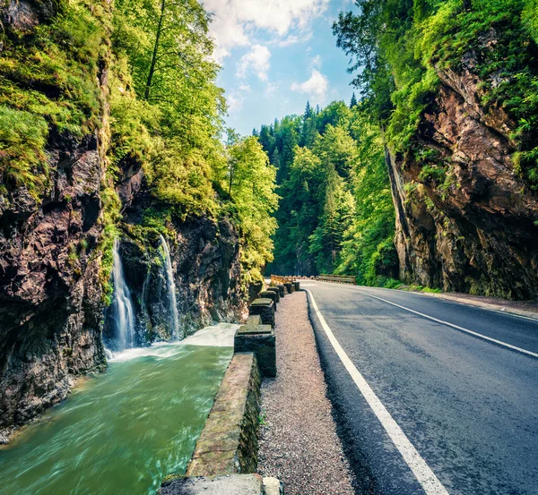 Bicaz Kanyonu 'nun (Cheile Bicazului) muhteşem yaz manzarası. Harghita County, Romanya, Avrupa 'nın etkileyici sabah manzarası. Seyahat konsepti arka planı