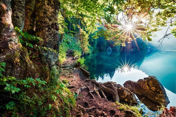 ふすね湖の晴れた夏の景色 太陽の最初の光線は 古い森の緑の葉を通して輝きます ウディネ県 イタリア ヨーロッパのジュリアン アルプスの明るい朝のシーン — ストック写真