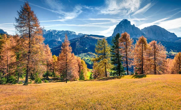 Brillante Vista Otoñal Cordillera Ambrizola Colorida Escena Matutina Los Alpes —  Fotos de Stock
