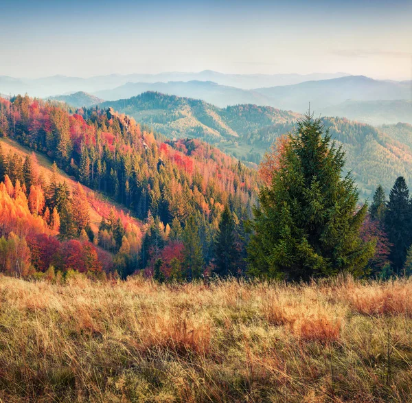 秋天阳光灿烂的山林风景 壮丽的晨景俯瞰着喀巴阡山 乌克兰 自然美概念背景 艺术风格经处理后的照片 — 图库照片