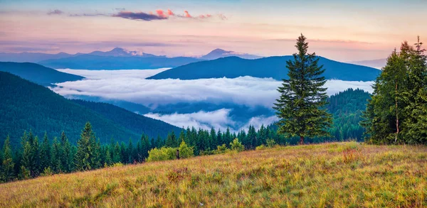 Karpat dağlarında müthiş bir yaz gündoğumu. Haziran ayında, Ukrayna 'daki dağ vadisinde panoramik sabah manzarası, Tatariv köyünün yeri, Avrupa. Doğa konseptinin güzelliği
