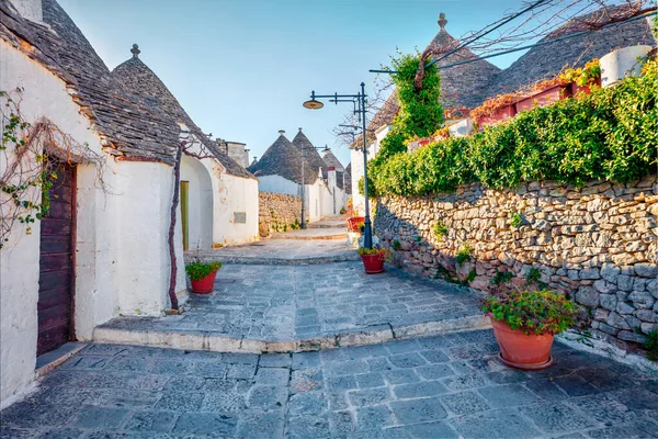 Güneşli sabah yürüyüşü trullo (trulli) ile - konik çatılı geleneksel Apulian kuru taş kulübe. Alberobello şehrinin parlak bahar manzarası, Bari ili, Apulia bölgesi, İtalya ve Avrupa.