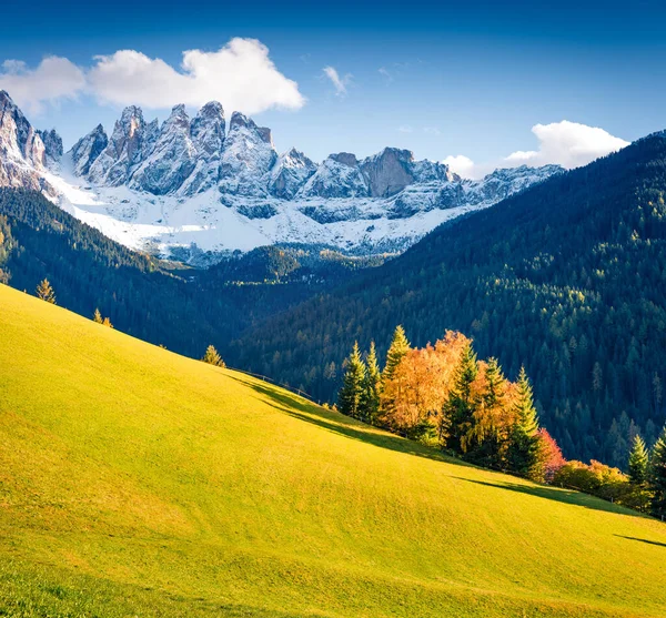 在Geisler或Odle Dolomites Group前面的Santa Maddalena村小山的美丽景色 意大利 欧洲的白云石阿尔卑斯山秋天的美景多姿多彩 自然美概念背景 — 图库照片
