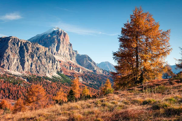 Falzarego 'nun tepesinden Lagazuoi dağıyla muhteşem bir manzara. Dolomite Alplerinde renkli bir sonbahar sabahı, Cortina d 'Ampezzo lacattion, İtalya, Avrupa. İşlenmiş fotoğraf sonrası sanatsal stil.