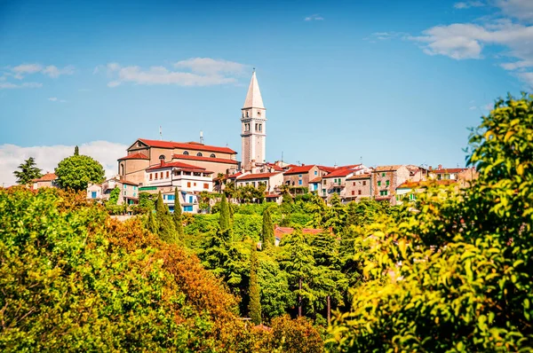 小城弗尔萨尔 Orsera 和圣马丁天主教教堂的美丽景色 克罗地亚 欧洲多姿多彩的春天城市景观 旅行概念背景 宏伟的地中海景观 — 图库照片