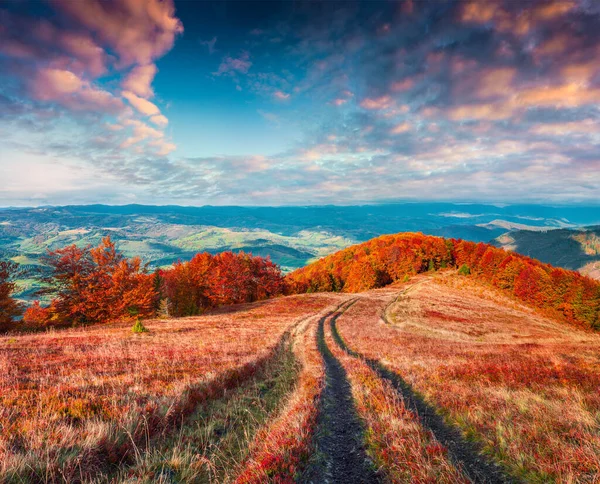 Bunte Herbstlandschaft Mit Alter Landstraße Dramatischer Sonnenuntergang Den Karpaten Ukraine — Stockfoto