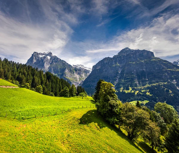 Barevný Ranní Pohled Údolí Vesnice Grindelwald Lanovky Wetterhorn Wellhorn Hory — Stock fotografie