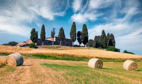 Schöne Frühjahrsansicht Der Weizenernte Der Toskana Sonnige Sommerliche Szenerie Italienischer — Stockfoto