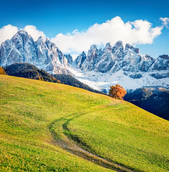 Geisler veya Odle Dolomites Grubu 'nun önündeki Santa Magdalena köyü tepelerinin etkileyici manzarası. Dolomite Alpleri 'nin renkli sonbahar sahnesi, İtalya, Avrupa. Kırsal konseptin güzelliği.