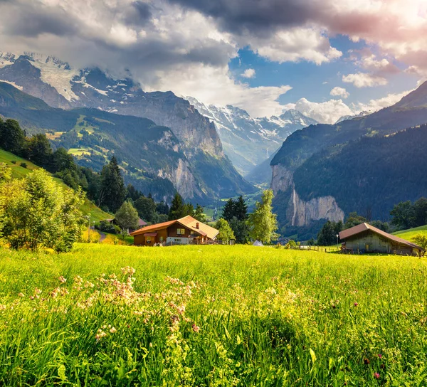 Barevný Letní Výhled Vesnici Wengen Krásná Venkovní Scéna Švýcarských Alpách — Stock fotografie