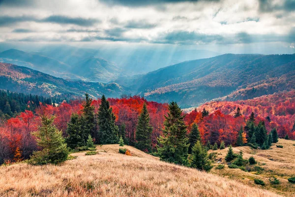 Vzrušující Podzimní Scéna Horského Údolí Klidná Ranní Scéna Karpat Poloha — Stock fotografie