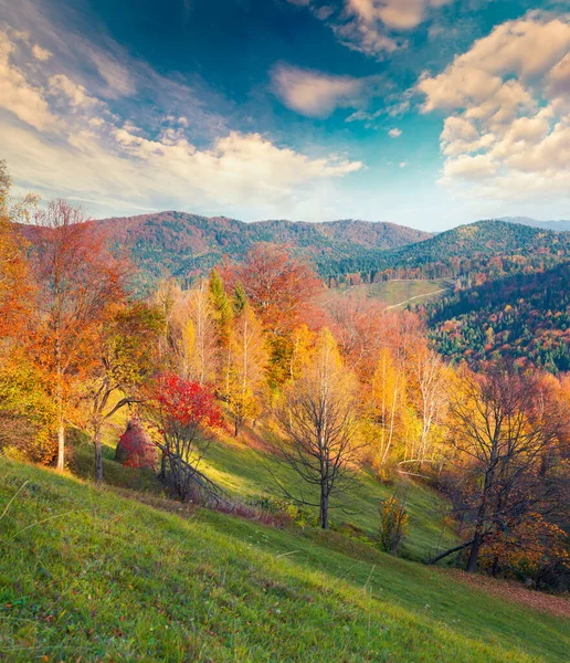Karpat Dağları 'ndaki renkli sonbahar manzarası. Avrupa, Ukrayna 'daki Roztoky köyü yakınlarında muhteşem bir açık hava sahnesi. İşlenmiş fotoğraf sonrası sanatsal stil.