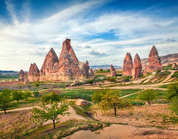 Cappadocia 'nın muhteşem bahar sahnesi. Nisan ayındaki Kırmızı Gül Vadisi manzarası. Nevsehir ilçesinin bulunduğu Cavusin köyü, Türkiye, Asya. Seyahat konsepti arka planı.