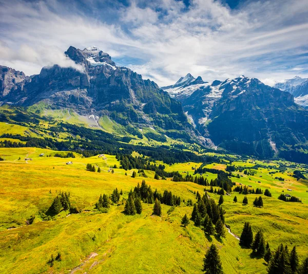 Grindelwald 'ın tepesinden muhteşem bir yaz manzarası. Schreckhorn dağı sabah sisi, Grindelwald köyü konumu, İsviçre Bernese Alpleri, İsviçre, Avrupa.