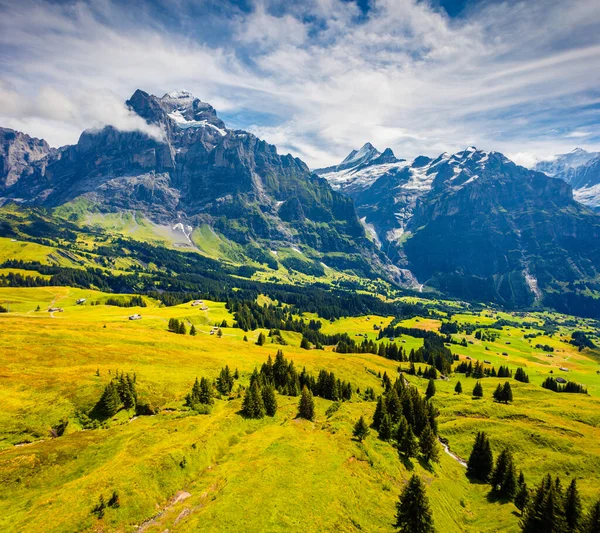 Increíble Vista Verano Desde Parte Superior Grindelwald Primer Teleférico Montaña —  Fotos de Stock