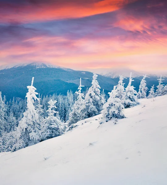 Lever Soleil Dramatique Hiver Dans Les Montagnes Des Carpates Avec — Photo