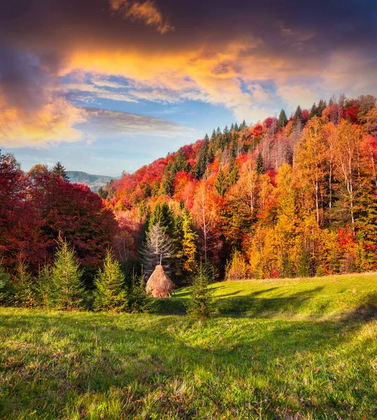 Paisagem Outono Colorido Nas Montanhas Dos Cárpatos Esplêndida Cena Livre — Fotografia de Stock