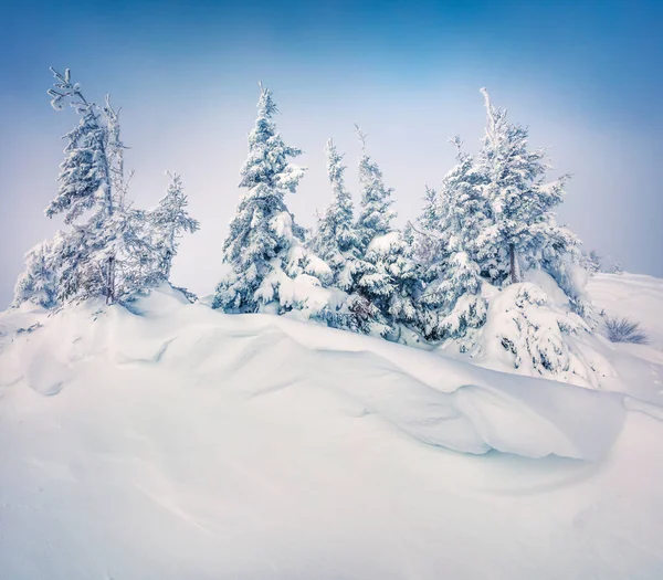 Brillante Escena Matutina Bosque Montaña Después Fuertes Nevadas Paisaje Invierno — Foto de Stock