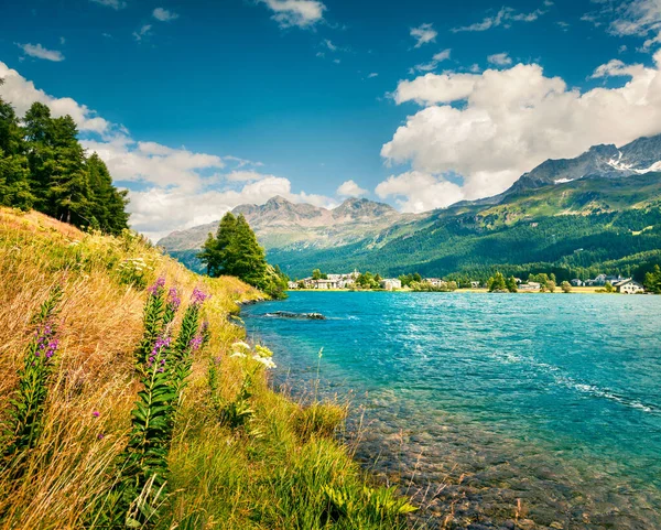 Sils Engadin Köyünün Güneşli Yaz Manzarası Sils Gölü Maloja Geçidi — Stok fotoğraf