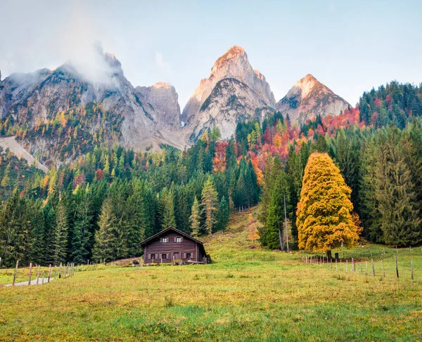 最初の日光輝く山の峰 大明山脈のカラフルな秋の景色 ゴサウ湖 Vorderer Gosausee の場所 オーストリアアルプス ゴサウ渓谷 オーストリア ヨーロッパの絵のような風景 — ストック写真