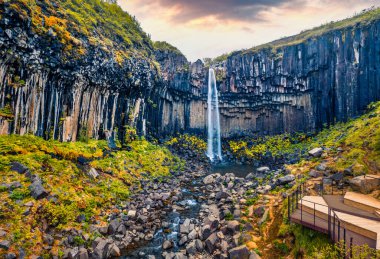 Uçan İHA 'nın görüntüsü. Ünlü Svartifoss Şelalesi 'nin muhteşem sabah manzarası. Skaftafell, Vatnajokull Ulusal Parkı, İzlanda, Avrupa 'da nefes kesici yaz sahnesi. 