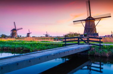 Ünlü Kinderdijk kanallarında renkli bir bahar sahnesi. UNESCO 'nun dünya mirası sitesi yel değirmenleriyle dolu. Hollanda 'nın Kinderdijk köyünde günbatımı, Hollanda, Avrupa.