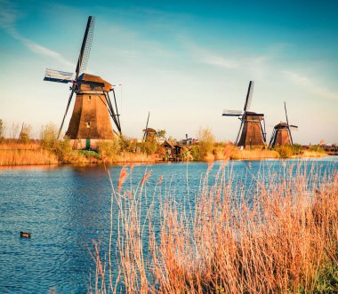Hollanda 'daki Kinderdijk Müzesi' nin ünlü yel değirmenleri. Hollanda, Avrupa 'nın inanılmaz dış manzarası. UNESCO Dünya Mirası Alanı. Seyahat konsepti arka planı.