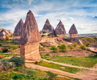 Cappadocia 'nın muhteşem bahar sahnesi. Nisan ayındaki Kırmızı Gül Vadisi manzarası. Nevsehir ilçesinin bulunduğu Cavusin köyü, Türkiye, Asya. Seyahat konsepti arka planı.