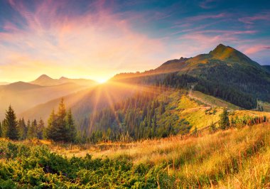 Karpat dağlarında inanılmaz bir yaz gündoğumu. Güneşin ilk parıldayan tepeleri ve vadileriyle renkli bir sabah sahnesi. Doğa konseptinin güzelliği. İşlenmiş fotoğraf sonrası sanatsal stil