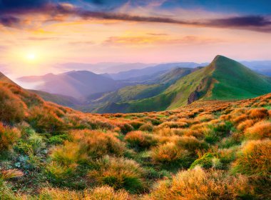 Karpat dağlarında sisli yaz gündoğumu. Dağ vadisinin renkli sabah manzarası. Ağustosta harika bir açık hava sahnesi. Doğa konseptinin güzelliği