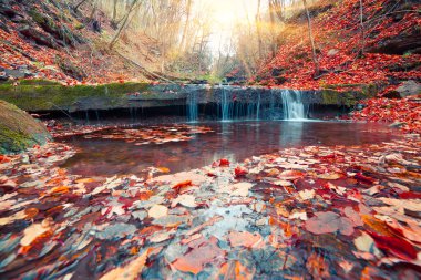 Sonbahar ormanlarındaki saf su şelalesinin güzel manzarası. Dağ ormanında muhteşem bir sabah manzarası. İşlenmiş fotoğraf sonrası sanatsal stil.