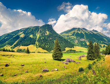 Ünlü Grossglockner High Alpine Yolu 'ndan görkemli yaz manzarası. Avusturya Alpleri, Yukarı Avusturya, Avrupa 'nın harika sabah manzarası. Doğa konseptinin güzelliği
