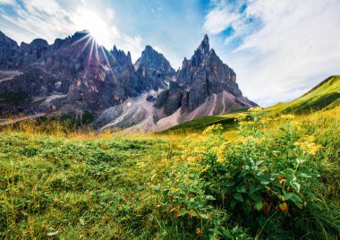 Arka planda Cimon della Pala sıradağları olan Dolomiti Alpleri 'nin muhteşem sabah manzarası. Rolle Pass 'in güneşli yaz sahnesi, Trentino bölgesi, İtalya, Avrupa. Doğa konseptinin güzelliği.