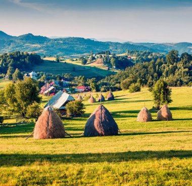 Rogojel köyünün muhteşem sabah manzarası. Cluj County, Romanya, Avrupa 'nın muhteşem yaz manzarası. Kırsal konseptin güzelliği.