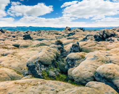 Haziran 'da volkanik taşların yosun ile kaplı olduğu tipik İzlanda manzarası. İzlanda, Avrupa 'nın batı kıyısında sisli bir yaz sabahı. İşlenmiş fotoğraf sonrası sanatsal stil.