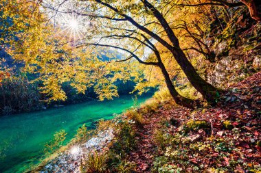 Plitvice Ulusal Parkı 'ndaki temiz su nehrinin güneşli sabah manzarası. Hırvatistan, Avrupa 'nın muhteşem sonbahar sahnesi. Plitvice Gölü serisinin terk edilmiş yerleri. Doğa konseptinin güzelliği.