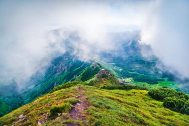 Sisli Karpat dağlarının büyüleyici yaz manzarası. Chornogora tepesi, Ukrayna, Avrupa 'nın inanılmaz sabah manzarası. Doğa konseptinin güzelliği.