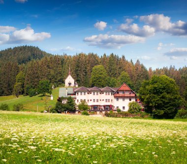 Avusturya Alpleri 'nde çiçekli renkli bir açık hava manzarası. Gosau köyünde yaz güneşli bir gün, Avusturya, Avrupa. İşlenmiş fotoğraf sonrası sanatsal stil