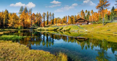 Sarı tarla ağaçlarıyla Scin Gölü 'nün panoramik sonbahar manzarası. Dolomite Alpleri 'nin renkli güneşli manzarası, Cortina d' Ampezzo konumu, İtalya, Avrupa. Kırsal konseptin güzelliği.