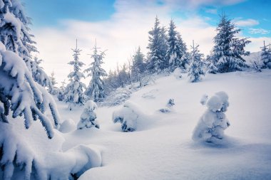 Yoğun kar yağışından sonra dağ ormanında aydınlık bir sabah manzarası. Karlı ormanda puslu kış manzarası, Yeni Yıl Kutlamaları konsepti. İşlenmiş fotoğraf sonrası sanatsal stil.