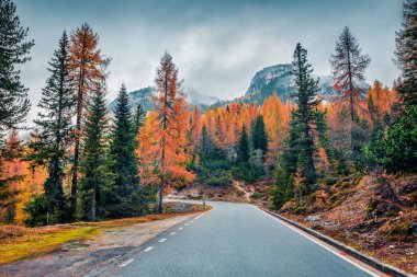 Ulusal Park Tre Cime di Lavaredo 'da puslu bir sabah sahnesi. Dolomite Alpleri 'ndeki renkli sonbahar manzarası, Güney Tyrol, Auronzo, İtalya, Avrupa. İşlenmiş fotoğraf sonrası sanatsal stil.
