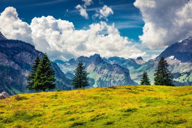 Oeschinen Gölü 'ndeki dağ vadisinin dramatik yaz manzarası. İsviçre Alpleri, Kandersteg köyü, İsviçre, Avrupa 'nın göz kamaştırıcı sabah manzarası. Doğa konseptinin güzelliği.