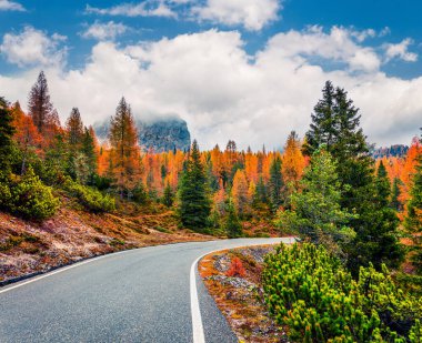 Ulusal Park Tre Cime di Lavaredo 'da puslu bir sabah sahnesi. Dolomite Alpleri 'ndeki renkli sonbahar manzarası, Güney Tyrol, Auronzo, İtalya, Avrupa. İşlenmiş fotoğraf sonrası sanatsal stil.