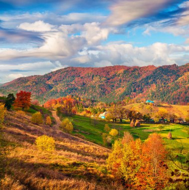 Babyn dağ köyünün renkli manzarası. Karpatlar, Ukrayna, Avrupa 'da muhteşem bir sonbahar sahnesi. İşlenmiş fotoğraf sonrası sanatsal stil.