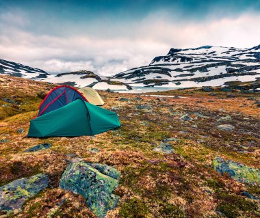 Norveç 'te bir dağ platosu üzerinde üç turist çadırı. Kuzey kırsalının resimli yaz manzarası. Etkin turizm konsepti geçmişi