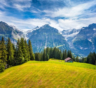 Telgrafla Grindelwald Köyü 'nün muhteşem sabah manzarası. Wetterhorn ve Wellhorn Dağları, Bernese Oberland Alpleri 'ndeki Innertkirchen' in batısında yer alıyor. İsviçre, Avrupa.