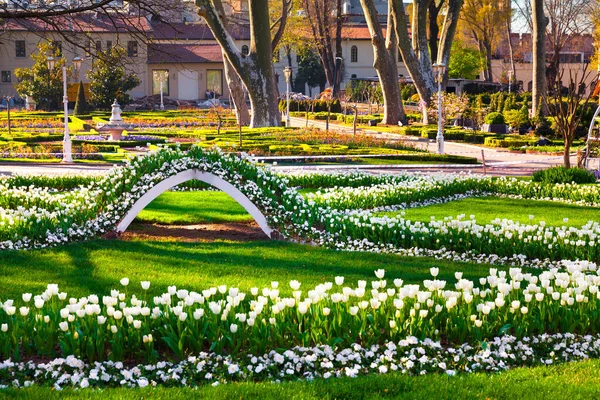 伊斯坦布尔Gulhane Rosehouse 公园的美丽的白色郁金香 土耳其 欧洲美丽的户外风景 — 图库照片