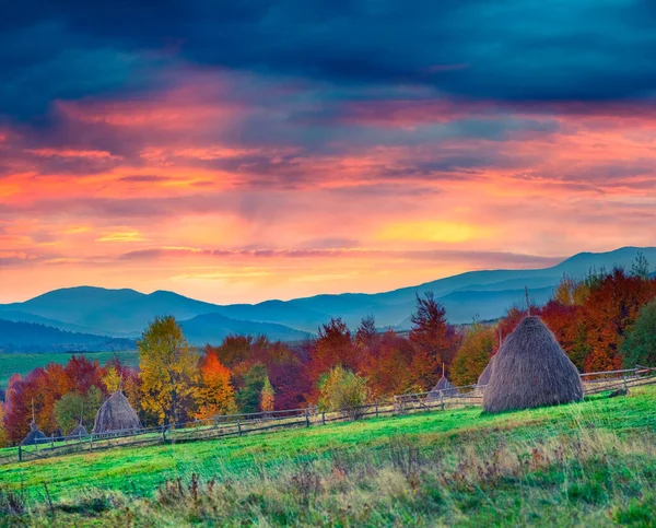 Karpatya Dağlarında Renkli Sonbahar Günbatımı Avrupa Ukrayna Daki Roztoky Köyü — Stok fotoğraf