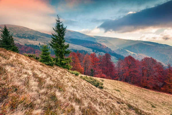 Dramatický Podzimní Západ Slunce Horském Údolí Barevná Večerní Scéna Karpat — Stock fotografie